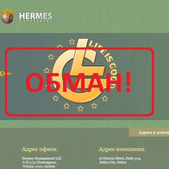Инвестиции в финансово-аналитическую компанию Hermes management — отзывы - Seoseed.ru