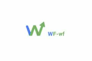 Обзор брокера WF WF: регулирование, условия сотрудничества, отзывы
