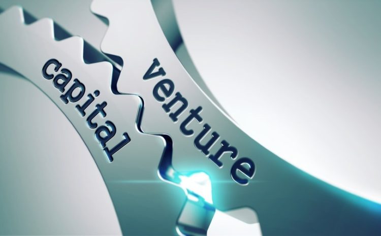 				Venture investment: types and characteristics			