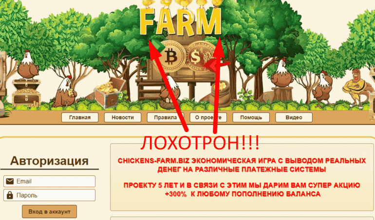 Chickens Farm отзывы — http chickens farm