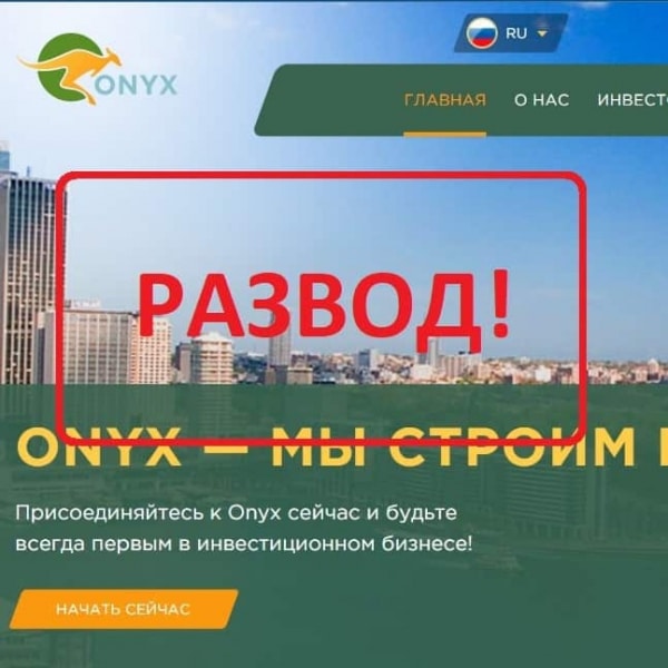 Инвестиции в Onyx — отзывы клиентов о компании onyxcompany.net - Seoseed.ru
