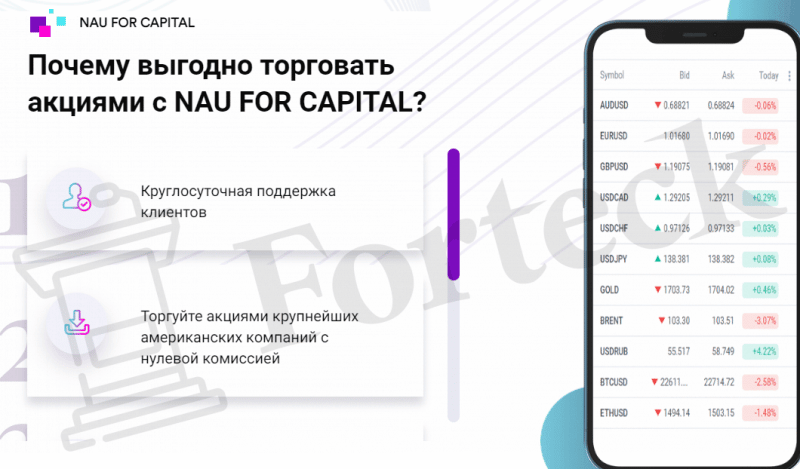 Nau For Capital – новая шарашкина контора