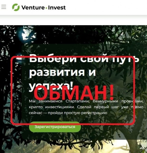 Отзывы о компании Venture Invest (ventureinvest.group). Обман? - Seoseed.ru
