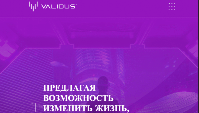 Validus (teamvalidus.com) примитивная пирамида!